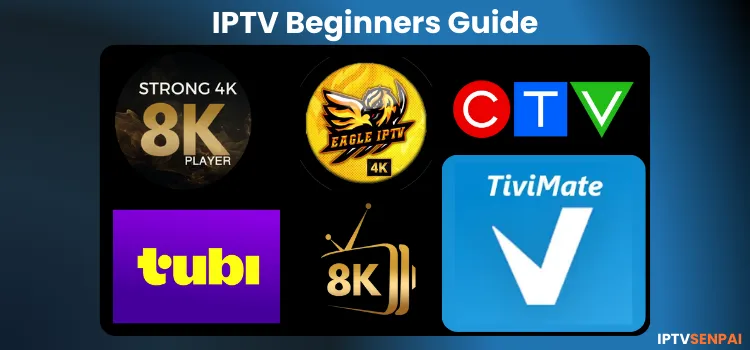 IPTV-BEGINNERS-GUIDE-1