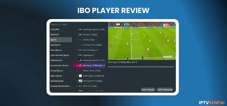 IBO-PLAYER-REVIEW-1