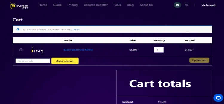 binge-iptv-add-to-cart