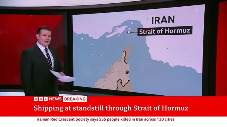 Flex-IPTV-enjoy-streaming