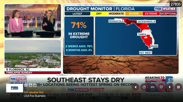 STZ-Player-start-streaming