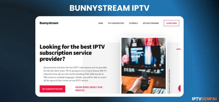 BUNNYSTREAM-IPTV (1) (1)