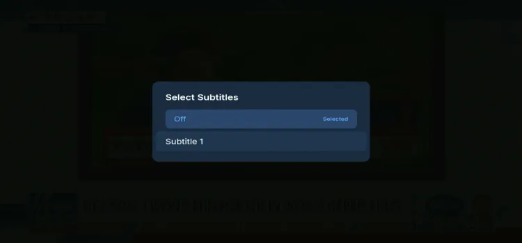 9-Subtitles
